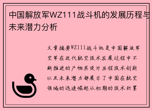 中国解放军WZ111战斗机的发展历程与未来潜力分析